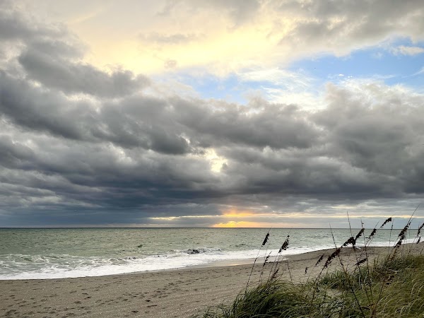 Jupiter Dog Beach photo