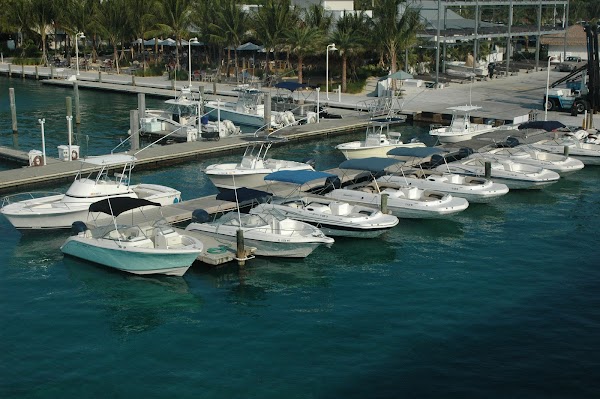 Boat Rentals & the Sandbar photo