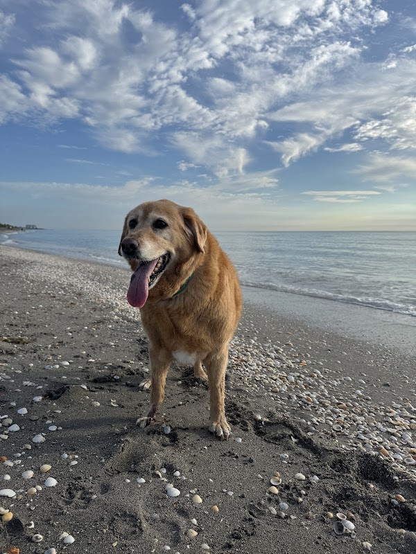 Jupiter Dog Beach photo